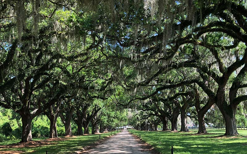 boone hall plantation combo tour